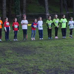 605929135 10235889797764337 5784418990147743524 N