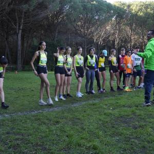 606397761 10235889566918566 6447993111575402852 N