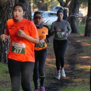 606793267 10235889220789913 6114384871483864965 N