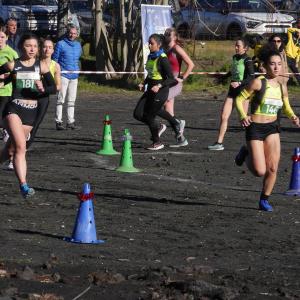 607067745 10235889208629609 8296816020520445466 N