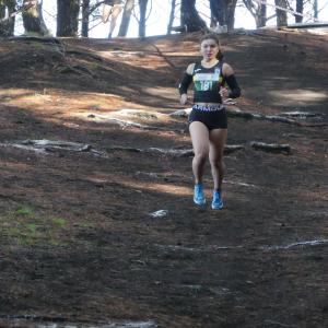 607113666 10235889190549157 3883872792453281422 N