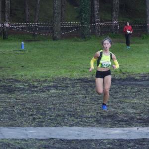 607120040 10235889245710536 5408819613013545459 N