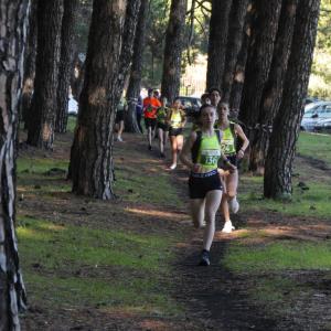 607158563 10235889608119596 2103386529031447827 N