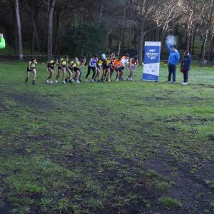 607300184 10235889576798813 3000026707234668975 N