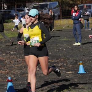 607438452 10235889605199523 222037171314160730 N