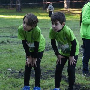 607484654 10235889796404303 8117857414171081160 N