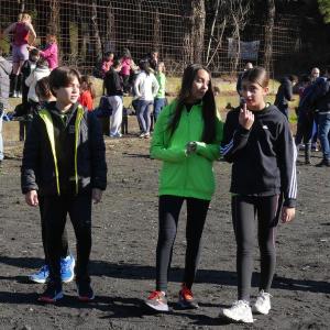 607508575 10235889169308626 6828049004480650432 N