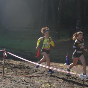 608112418 10235889213149722 9062098422627313033 N