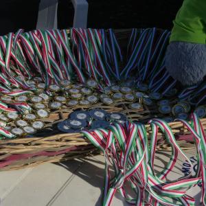 608261508 10235889181548932 2642723885265129472 N