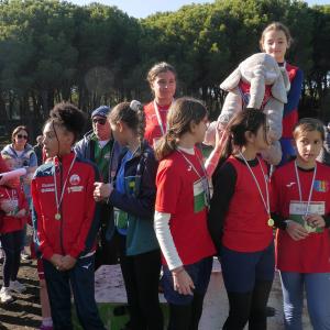 608267852 10235890134852764 4256442542063472565 N