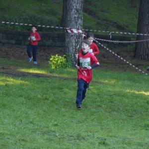 608418050 10235889825245024 5851518462375219975 N8