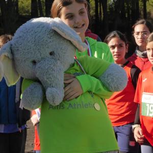 608499723 10235890122532456 2033856355056544481 N