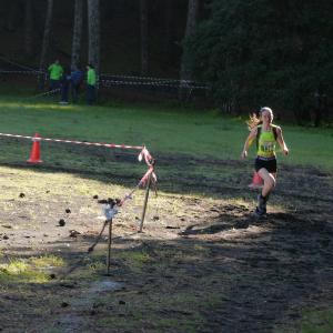 608778035 10235889633800238 1014236597248966393 N