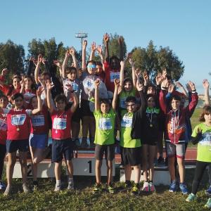 487548433 10232105532360067 8594091814849110651 N