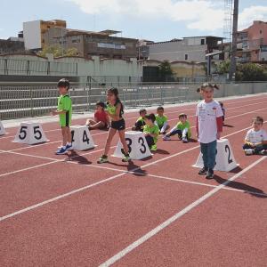 489924060 10232106042892830 9196350283179655902 N