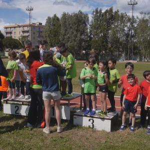 489926171 10232105514719626 84571383854532446 N