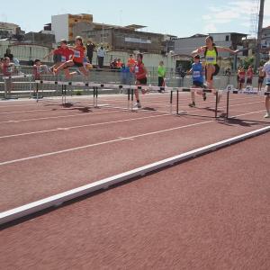 489927230 10232106072373567 1589189858932501840 N