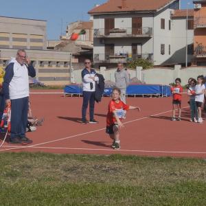 490262433 10232105841607798 4363462483183384546 N