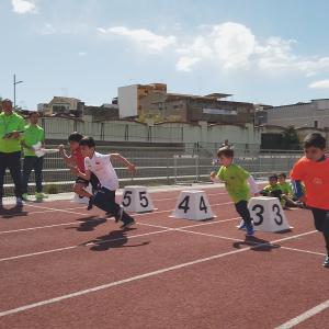 490291396 10232106057573197 1534575886060785391 N