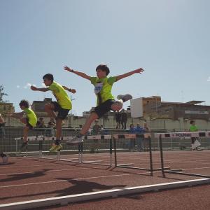 490542245 10232106060693275 4686180987115210406 N