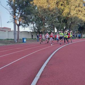 490939472 10232106052013058 5202916234715190317 N 1