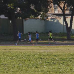 490974311 10232106007051934 3058433983522167008 N