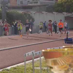 490983035 10232105835407643 6173975738937843855 N