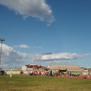 491287543 10232106067773452 1299952316396601963 N