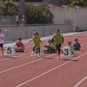 491350687 10232105497879205 4079834403444727768 N