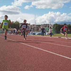 491352692 10232106065853404 4124989899961752846 N