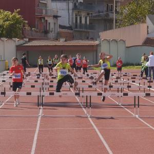 491359415 10232105584161362 8974434325915525469 N