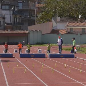 491409657 10232105512159562 7174404172179145606 N