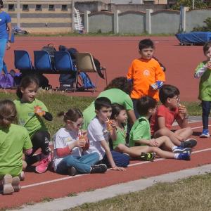 491849088 10232105512079560 3385233857309360158 N